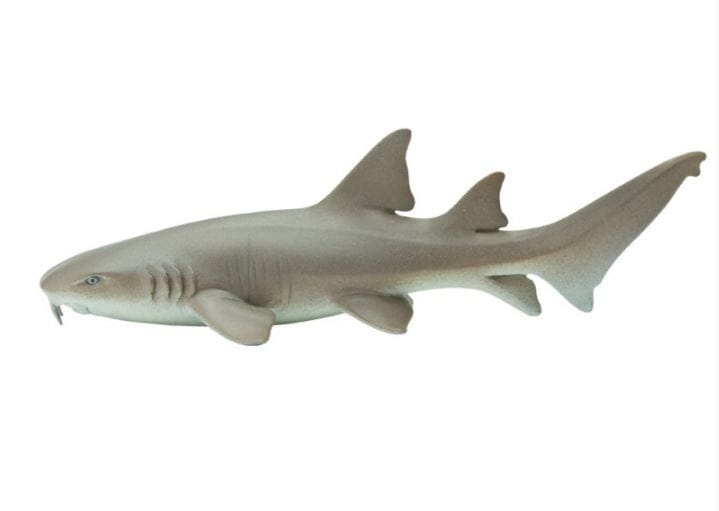 Фигурка SAFARI Усатая акула - нянька