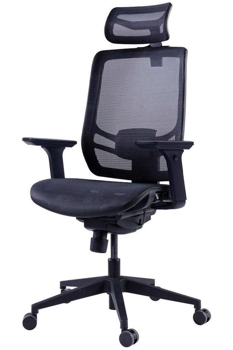      GT Chair InFlex M - 