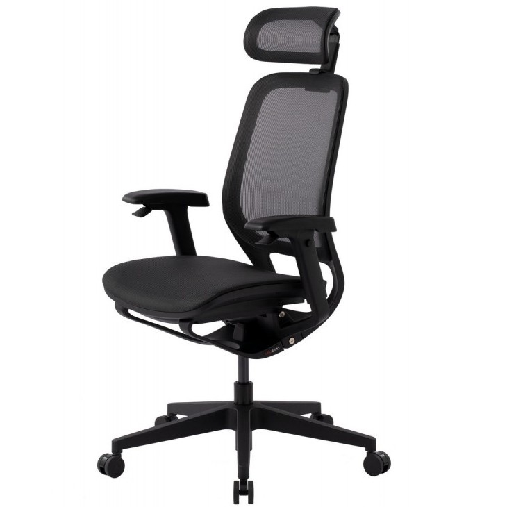    GT Chair Neoseat X - 